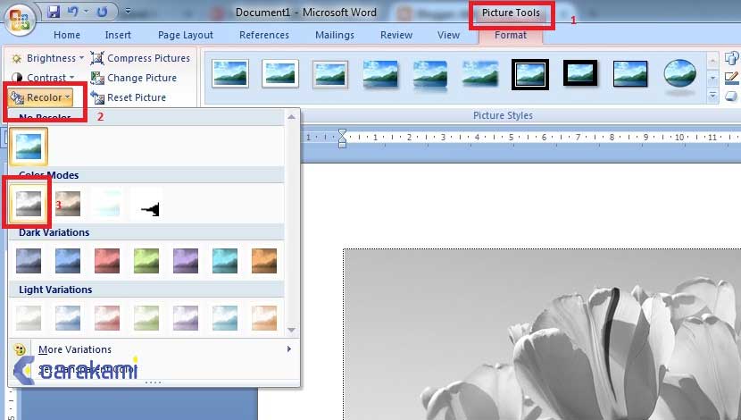 Mengubah Gambar Menjadi Hitam Putih di Word